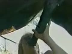 In this energizing scene from the bestiality film, an inquisitive mother blows and screws a big horse.